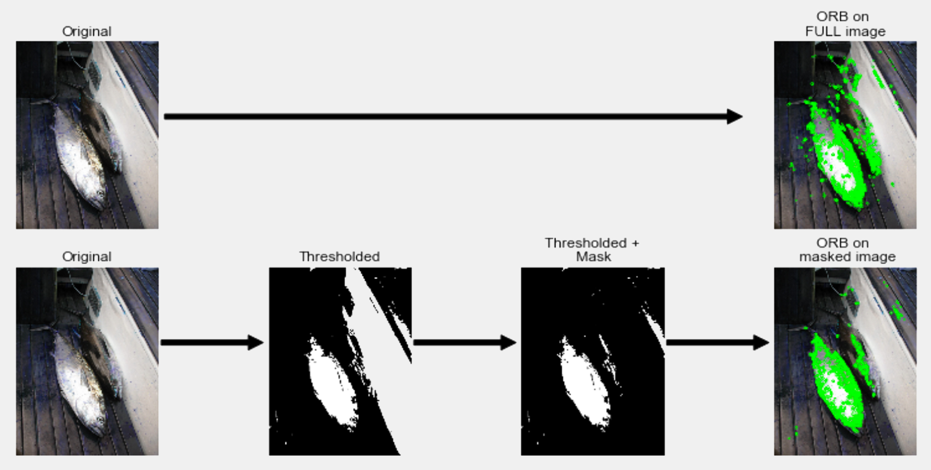 Figure 3. Example of the background removal by computer vision tools for keypoint detection.