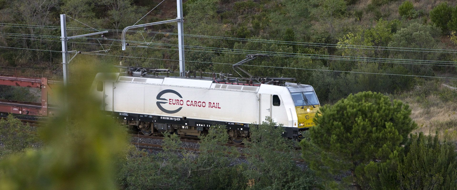Euro Cargo Rail par Agence Web Kernix