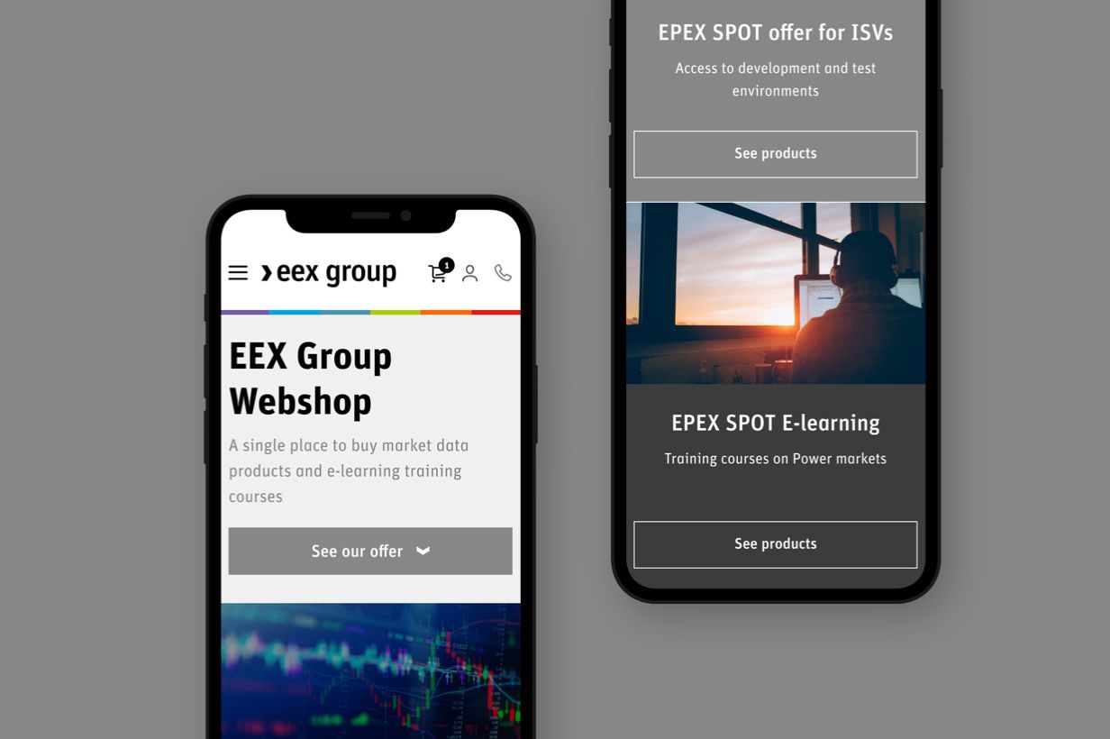 EEX Group Webshop par Agence Web Kernix