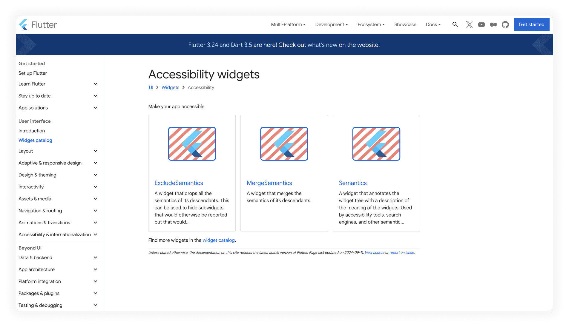 Image du site flutter