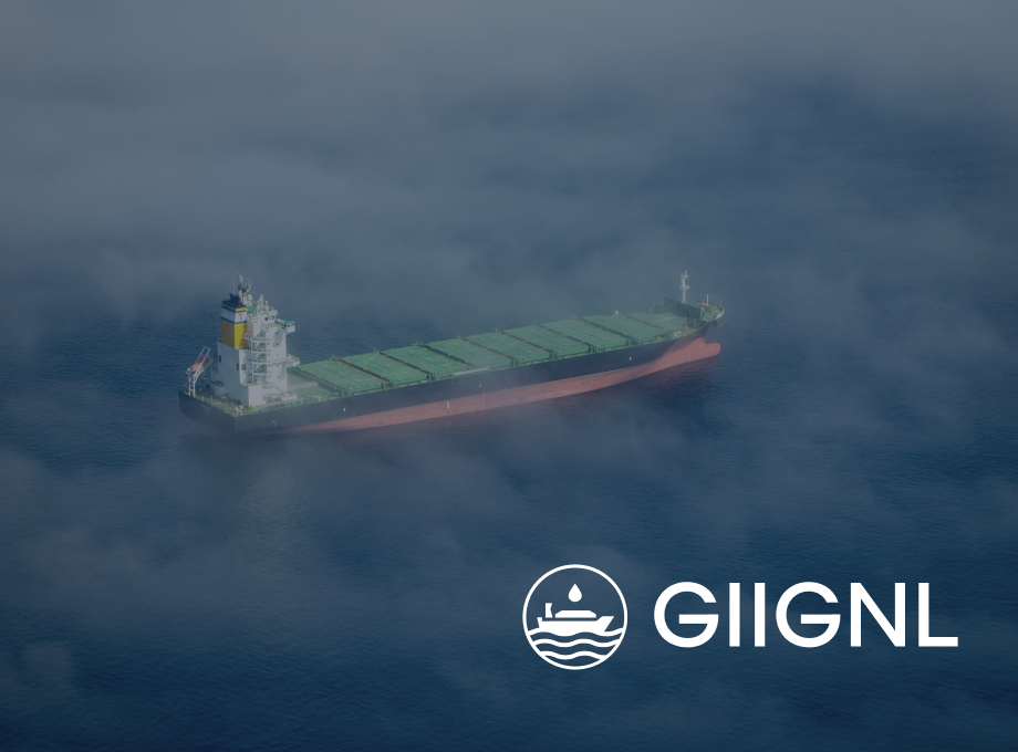 GIIGNL par Agence Web Kernix